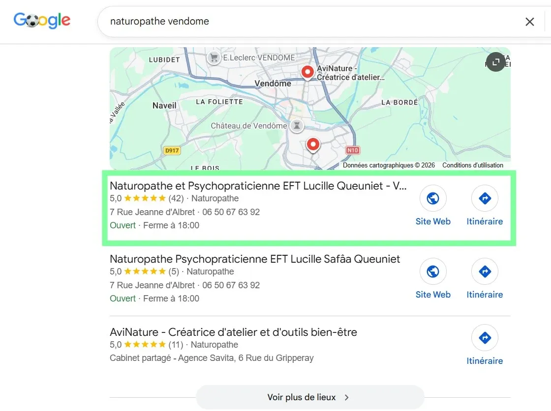 Recherche Google locale « naturopathe Vendôme » : la fiche du professionnel apparaît en premier, avec sa note 5 étoiles